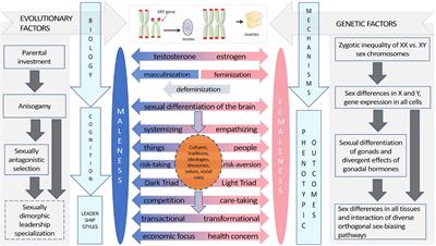Pandemic Leadership: Sex Differences and Their Evolutionary–Developmental Origins
